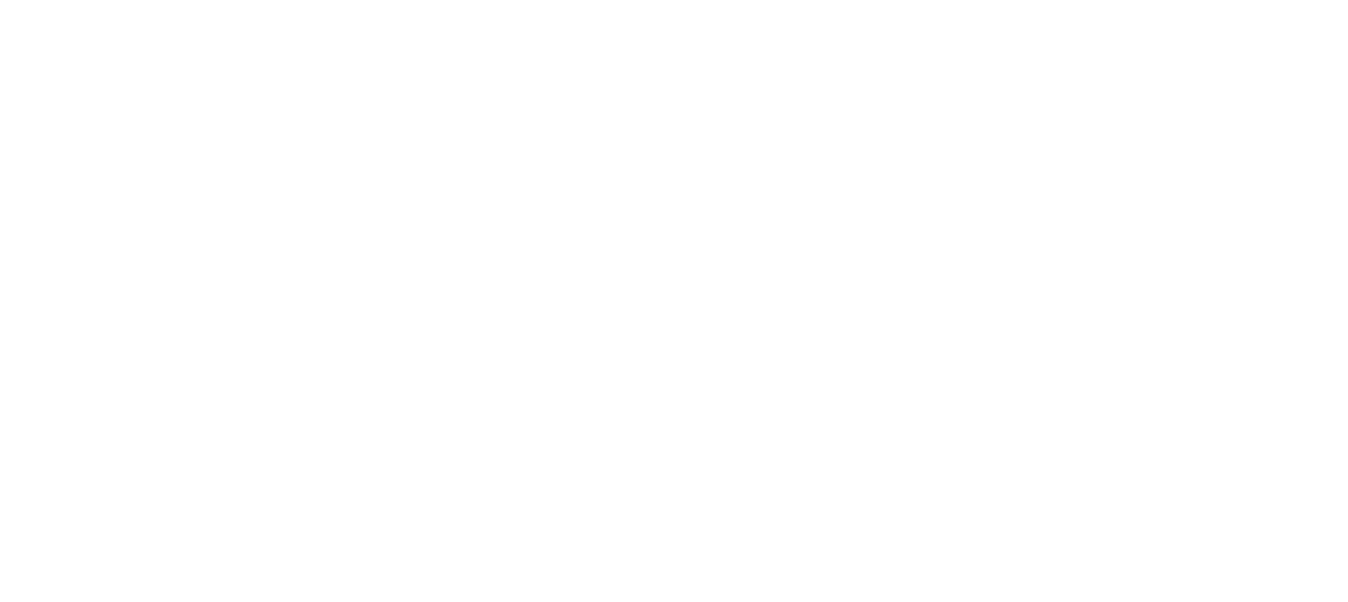 Noldin Consulting